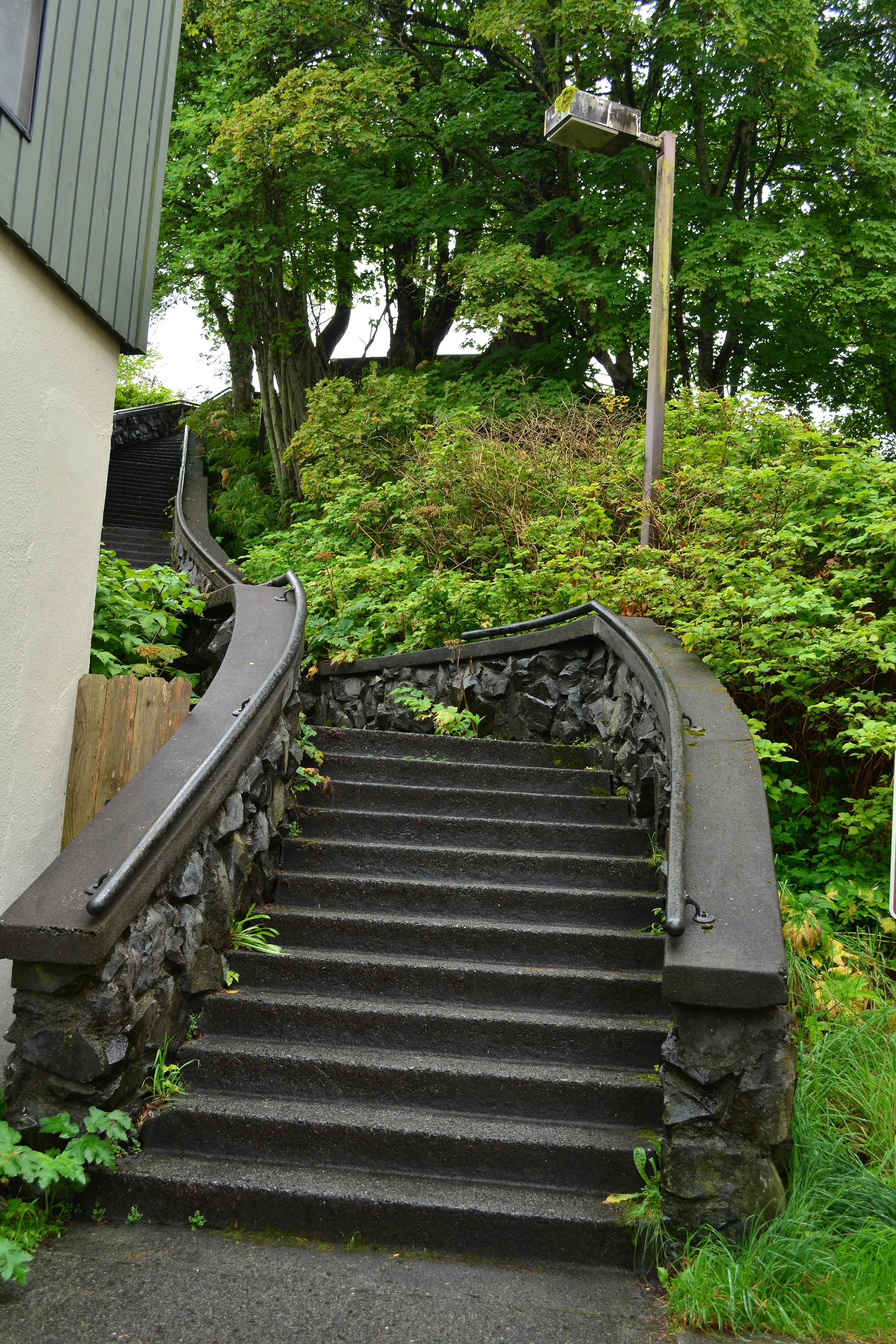 An outdoor staircase with metal handrails climbs between shrubs and trees, with a building beside the lower steps.