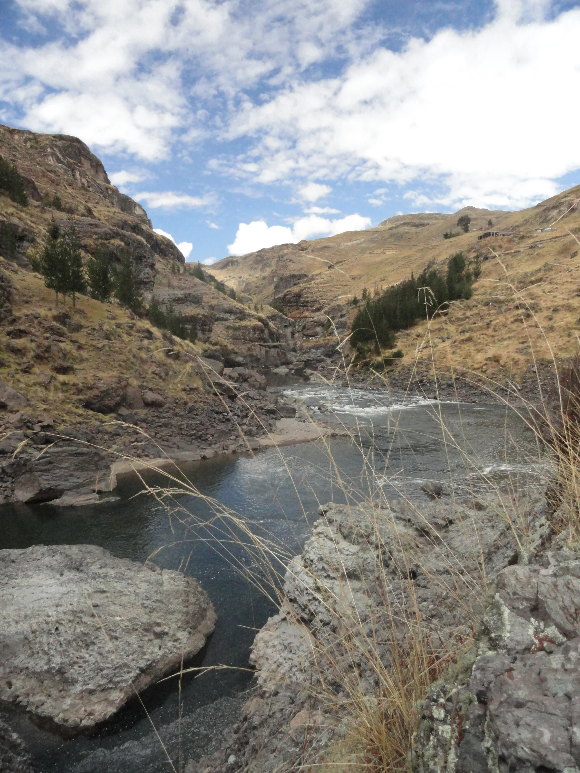Tall pale grass stalks bend in the foreground over a rocky river that winds through a dry, steep-sided Andean valley under a cloudy blue sky.