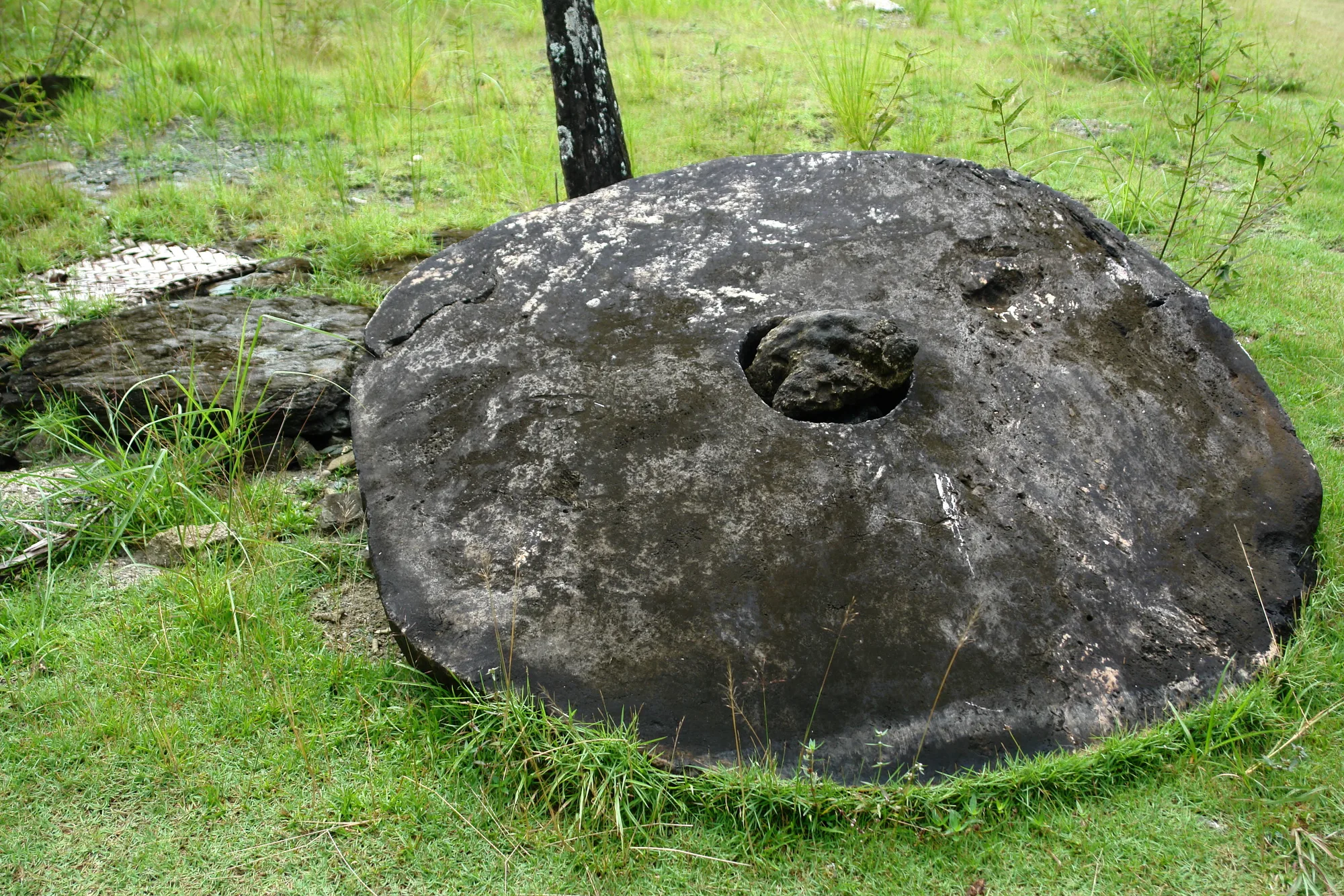 A weathered dark grey stone disc with a round hole near its centre, lying flat in long grass.