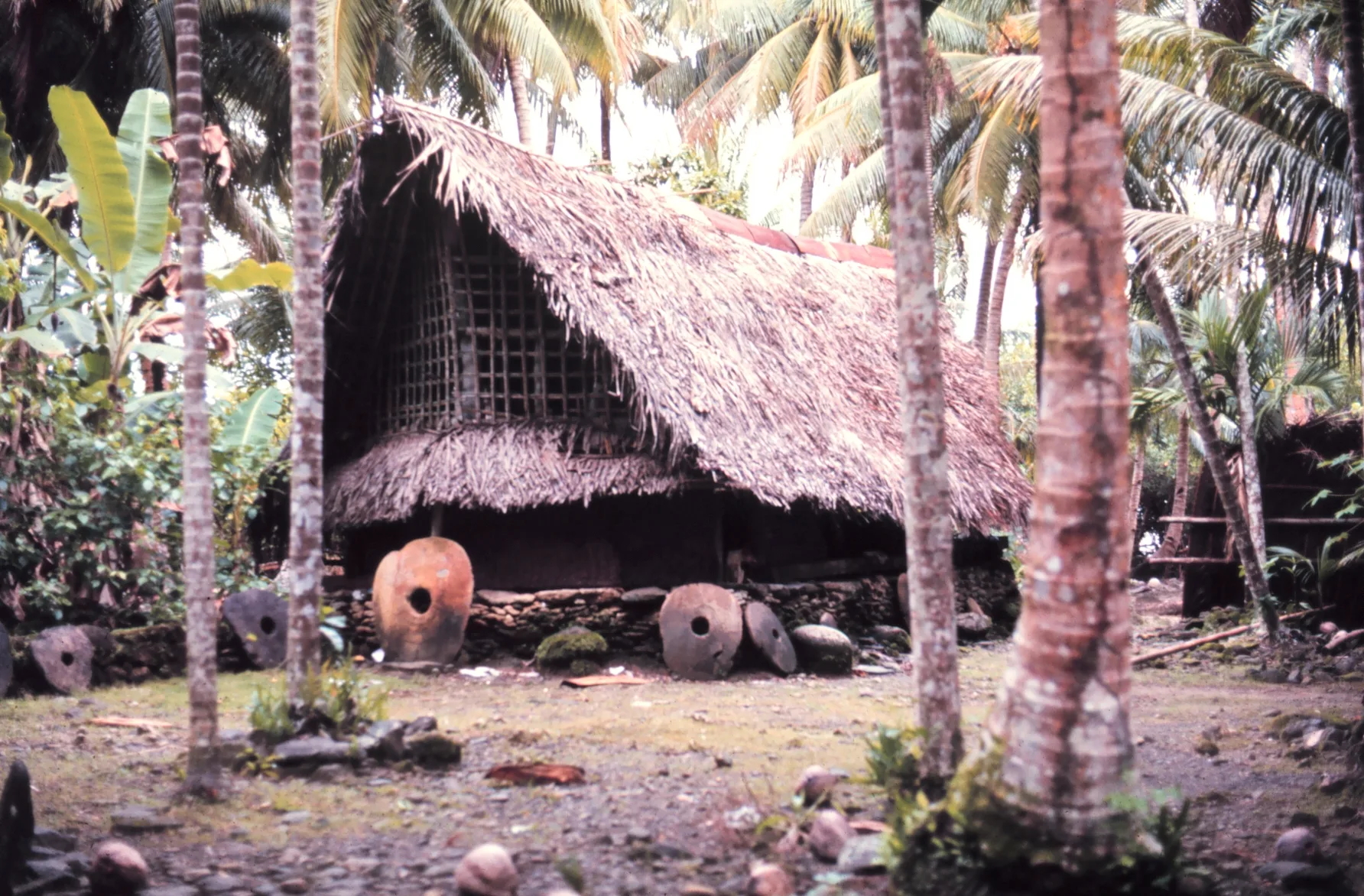 A large thatched community house among coconut palms, with several stone discs propped upright along its stone platform.